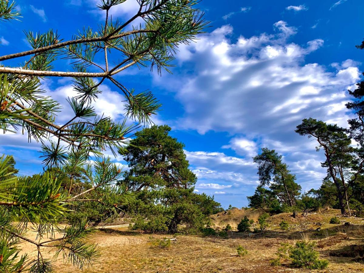 De Wollige Hooglander: In Comfort Middenin Natuur Отерло Екстериор снимка